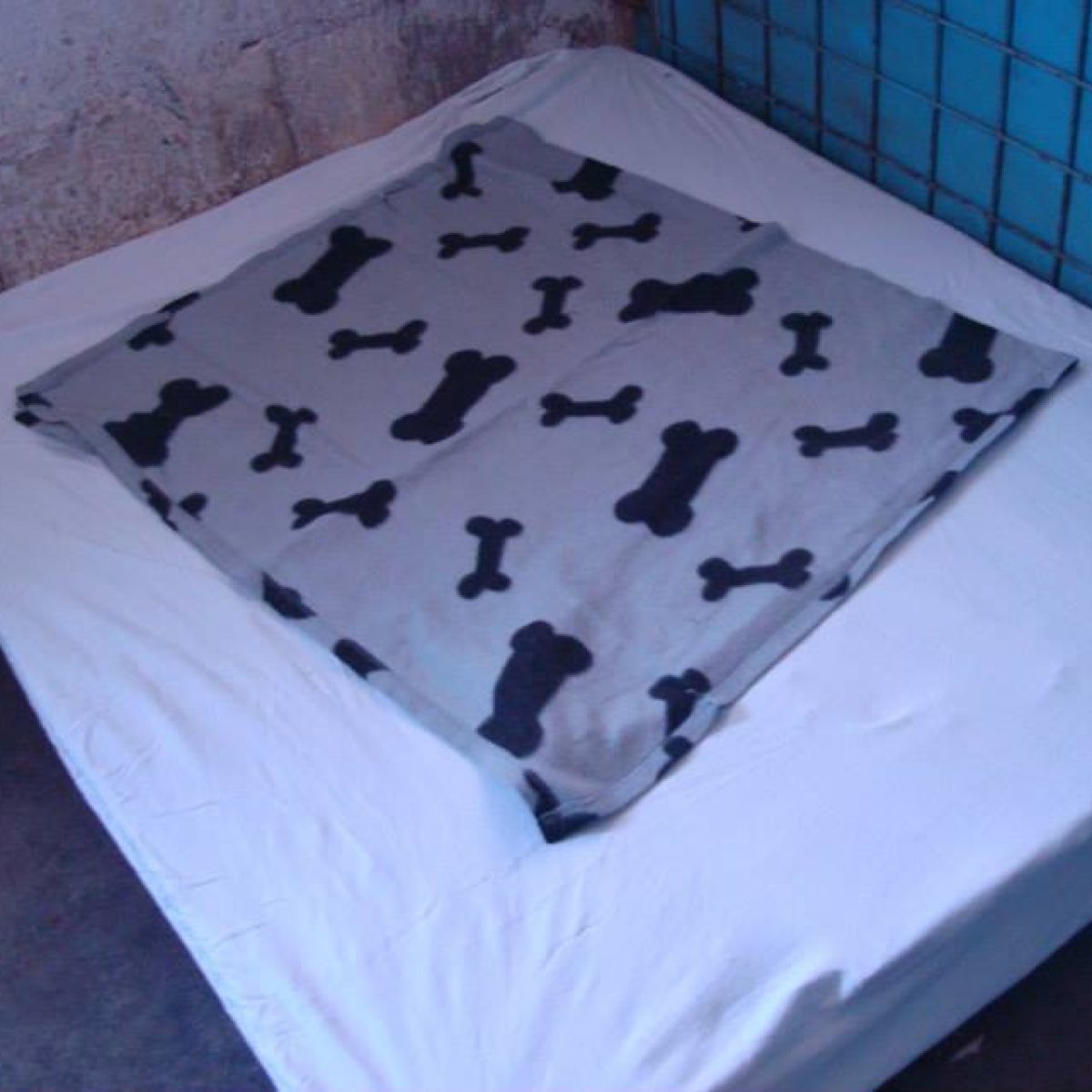 Unterstützung vor Ort