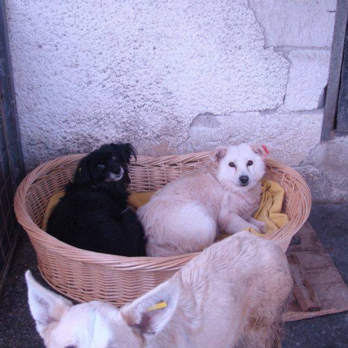 Unterstützung vor Ort