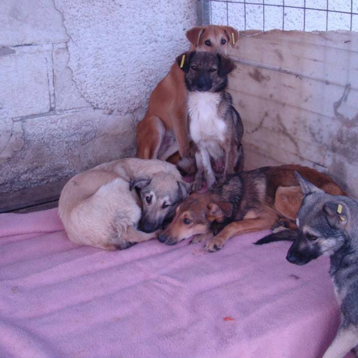 Unterstützung vor Ort