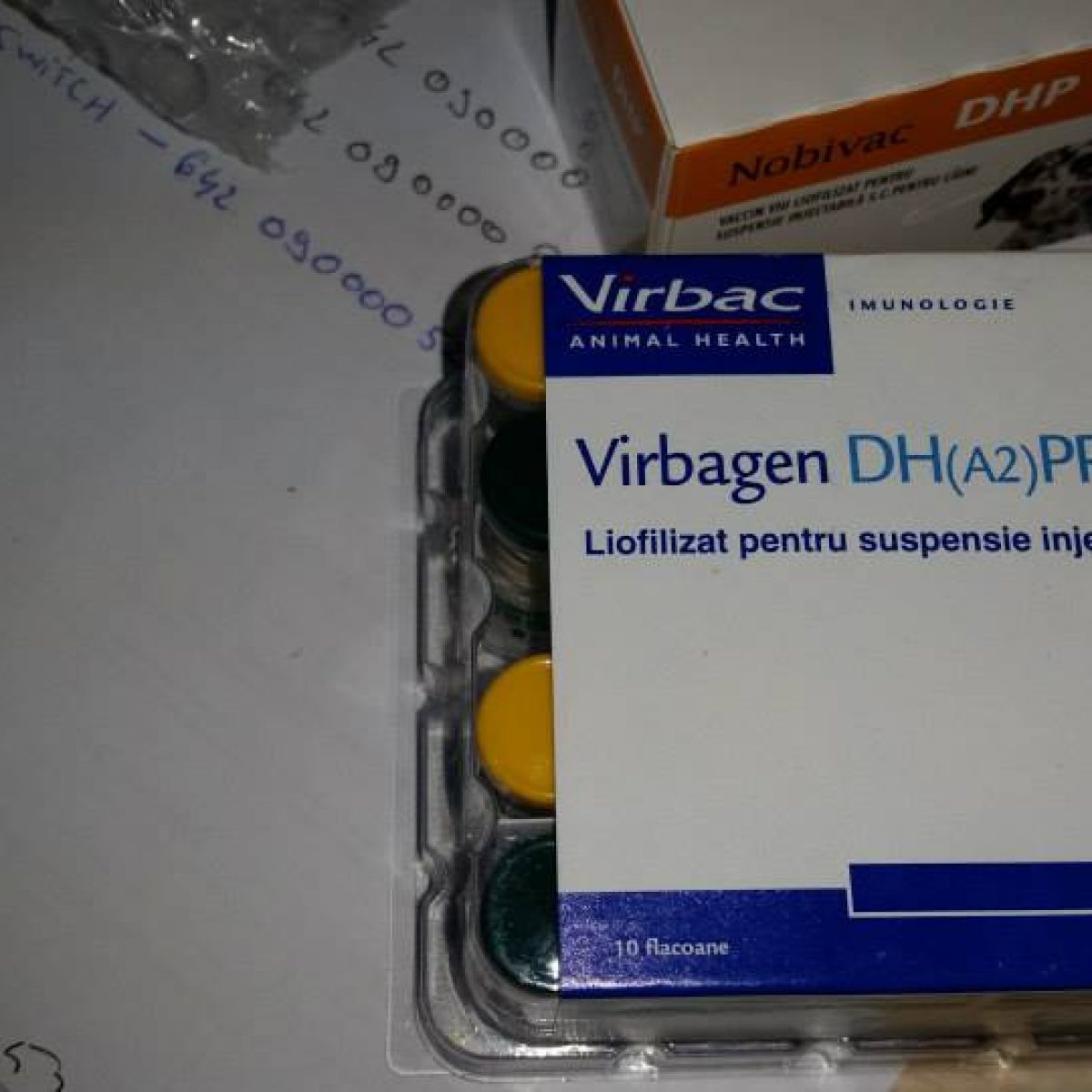 Unterstützung vor Ort