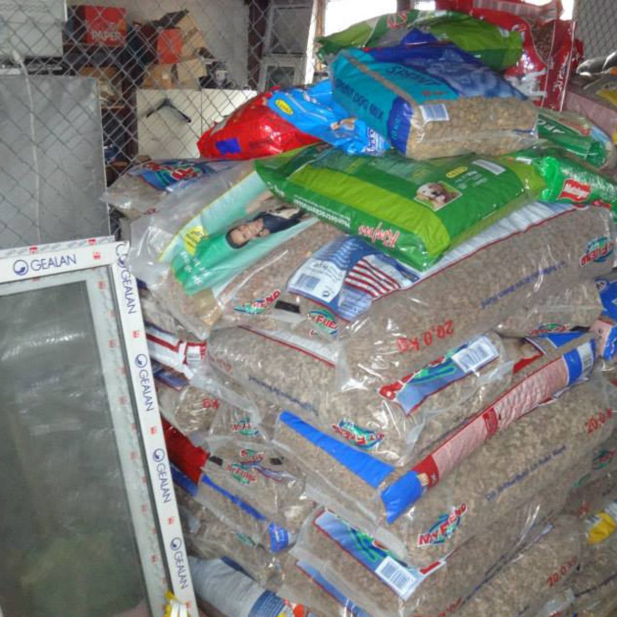 Unterstützung vor Ort