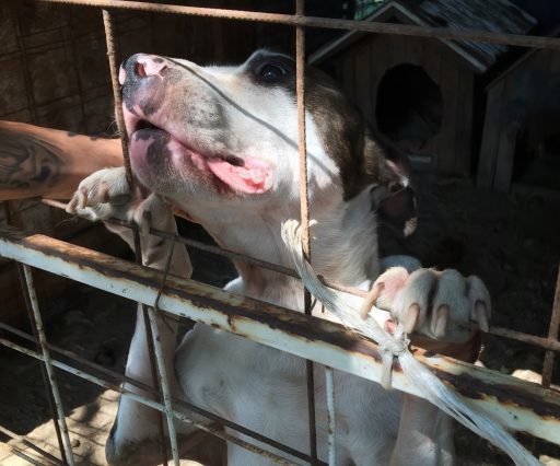 Unterstützung vor Ort