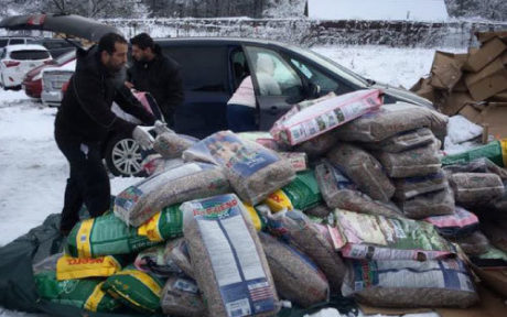 Futteraufruf: 13 Tonnen Futter für unsere Streuner ermöglichen uns einen wunderbaren Start ins neue Jahr