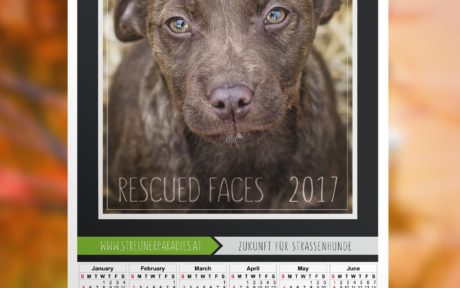 Weihnachtswunder-Spendenaktion 2016/2017