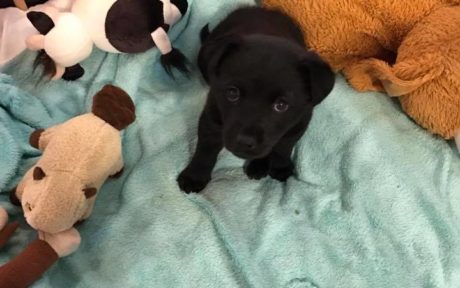 Happy End für schwer misshandelte Lina