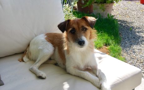 Angel verschenkt ihr großes Herz