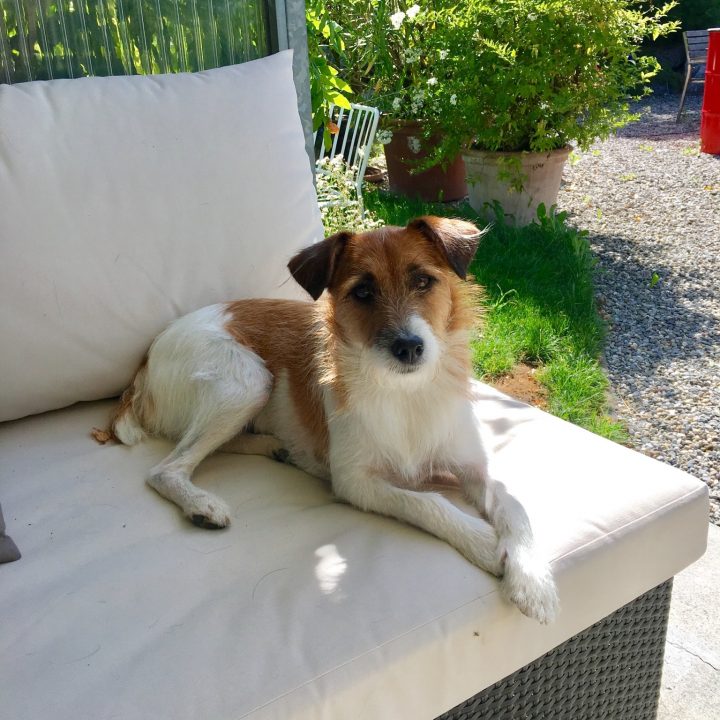 Angel verschenkt ihr großes Herz