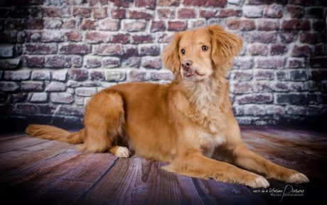 Filou: Handicap, na und?