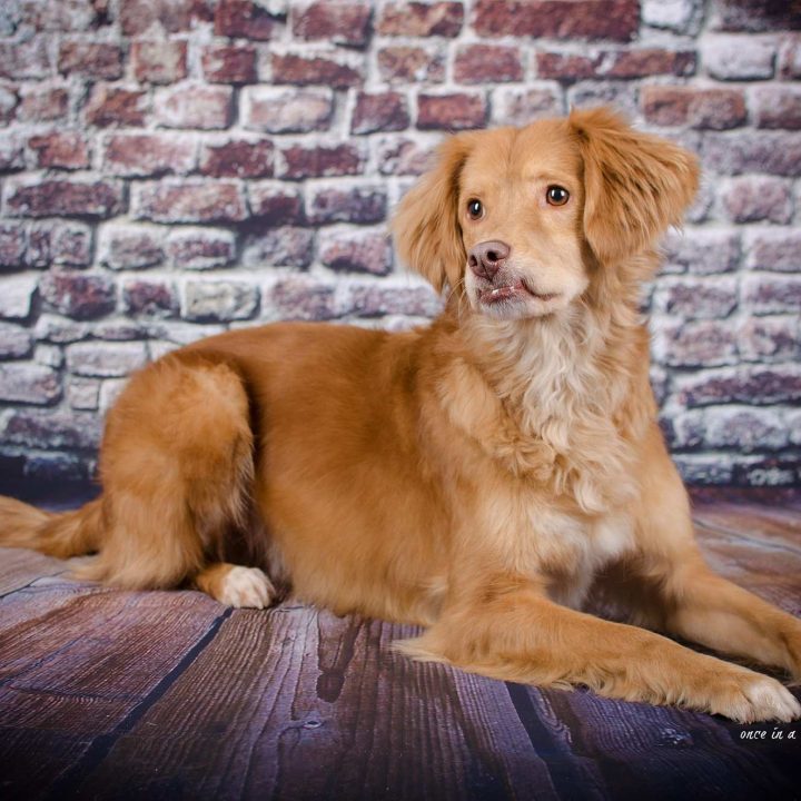 Filou: Handicap, na und?