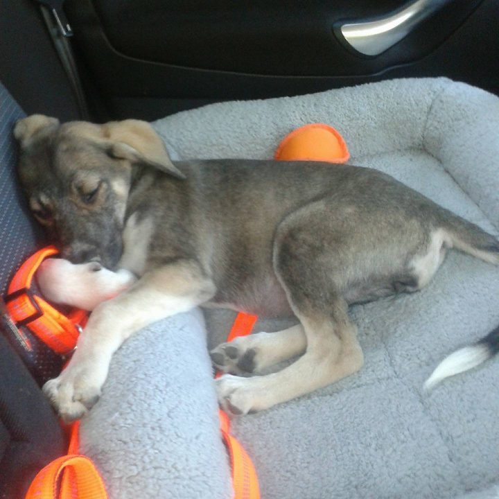 Baby Kira darf behutsam aufwachsen