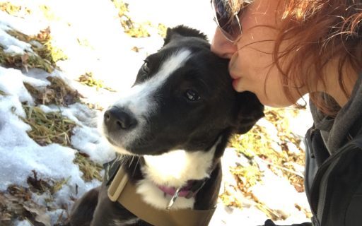 Ella… vom Streuner zum Rettungshund