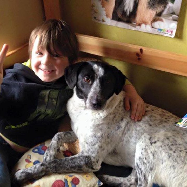 Max wird endlich glücklich