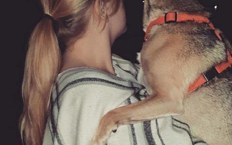 Streuner Mika wird zum Frauenheld