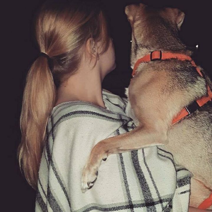 Streuner Mika wird zum Frauenheld