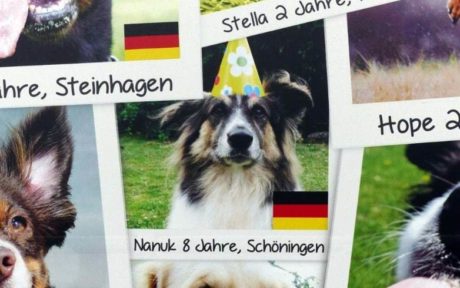 Nanuk: Happy End trotz Startschwierigkeiten