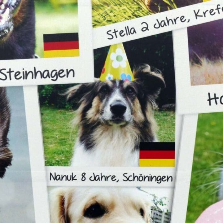 Nanuk: Happy End trotz Startschwierigkeiten