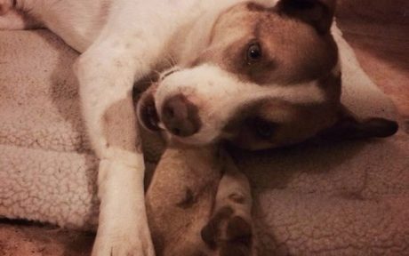 Sam ist endlich Zuhause