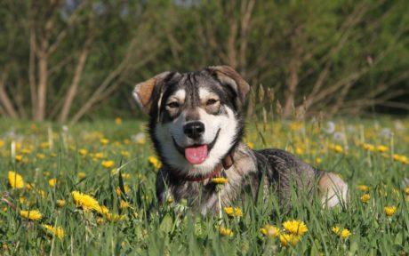 Sandy verändert unser aller Leben