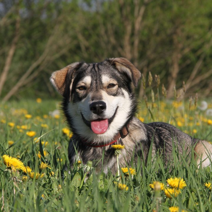 Sandy verändert unser aller Leben