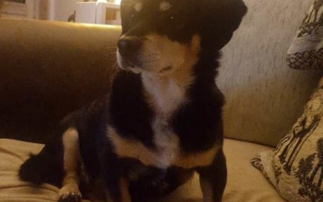 Toni findet endlich zu sich selbst