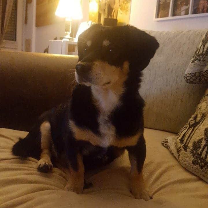 Toni findet endlich zu sich selbst