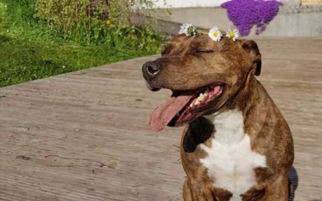 Elay erobert Jonathans Herz