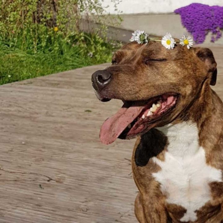 Elay erobert Jonathans Herz