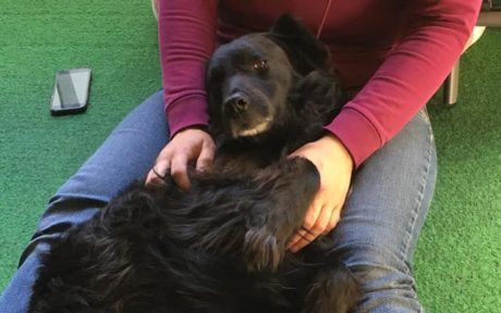 Muki findet seinen Weg ins Glück