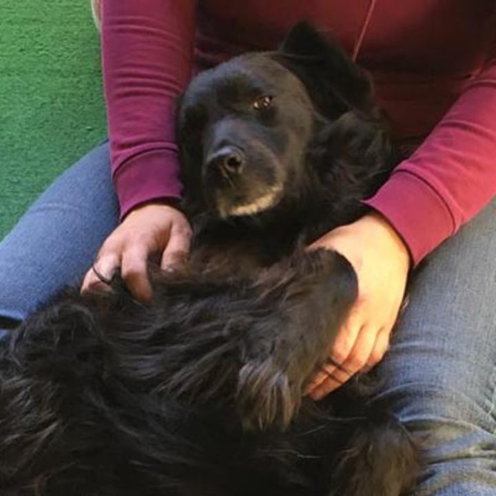 Muki findet seinen Weg ins Glück