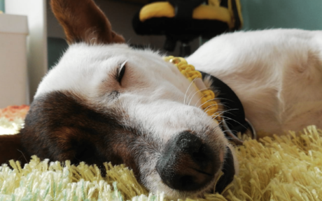 Maya zeigt, was ihr gefällt ;)