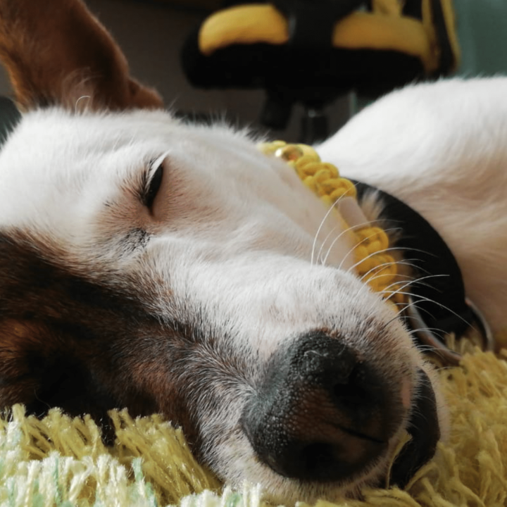 Maya zeigt, was ihr gefällt ;)