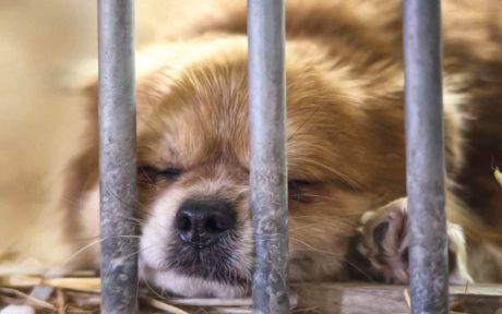 Jetzt geht es um Leben und Tod…