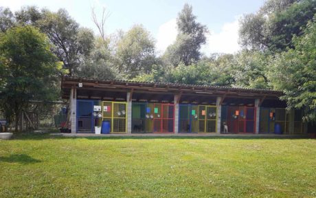 Unser Tierheim erstrahlt in neuem Glanz