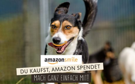 Amazon Smile Streunerparadies, Amazon spenden, Amazon Streunerparadies
