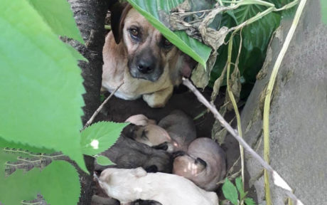 Liebe in Zeiten von Corona