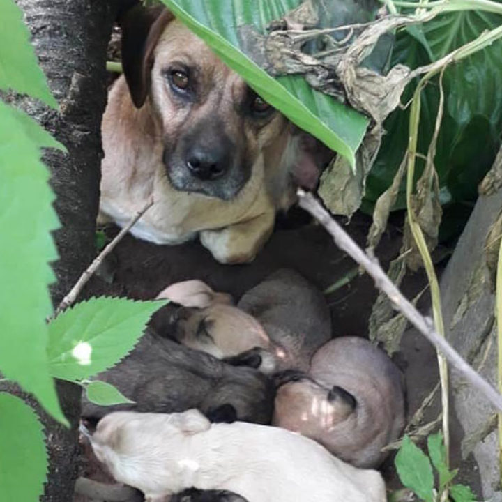 Liebe in Zeiten von Corona