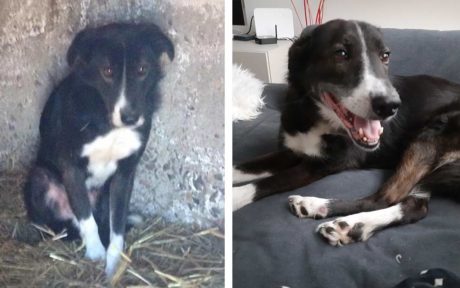 Dastan: Ende gut, alles gut