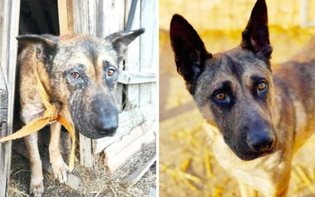 Elias’ unglaubliche Verwandlung