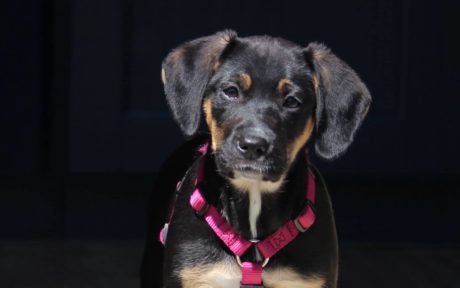 Wie Marvina wieder Leben in ein leeres Haus brachte