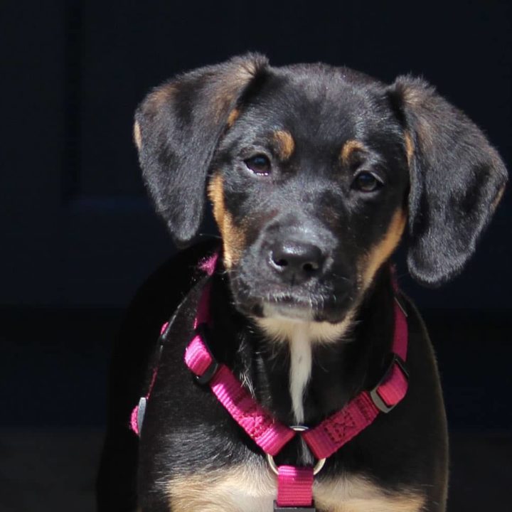 Wie Marvina wieder Leben in ein leeres Haus brachte