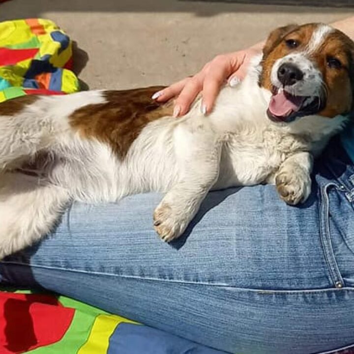 Sonnenschein Anna hat IHR Zuhause gefunden