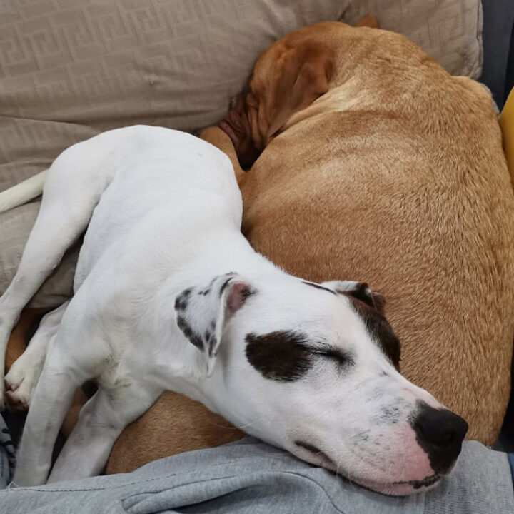 Ich heiße jetzt Chance, das ist meine Geschichte