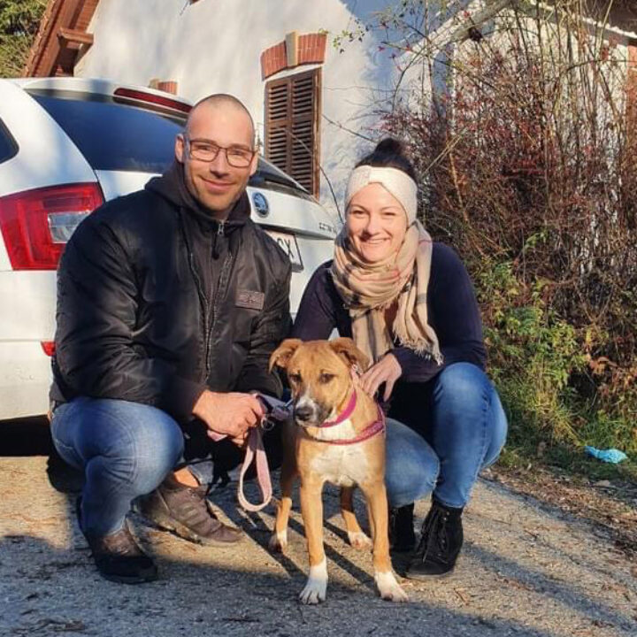 Es war Liebe auf den ersten Blick <3