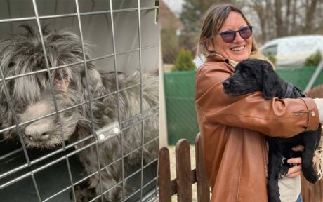 Ein Happy End für Oma Lily