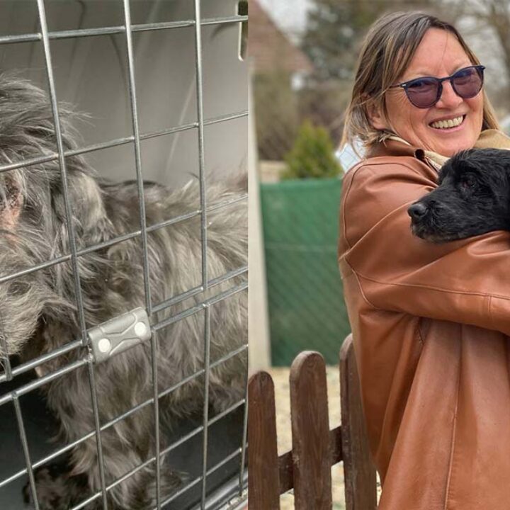 Ein Happy End für Oma Lily