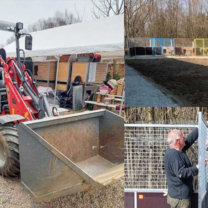 Unser Tierheim wird erneuert!